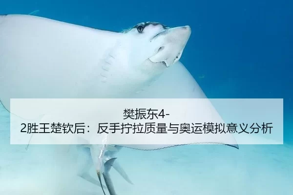 樊振东4-2胜王楚钦后：反手拧拉质量与奥运模拟意义分析
