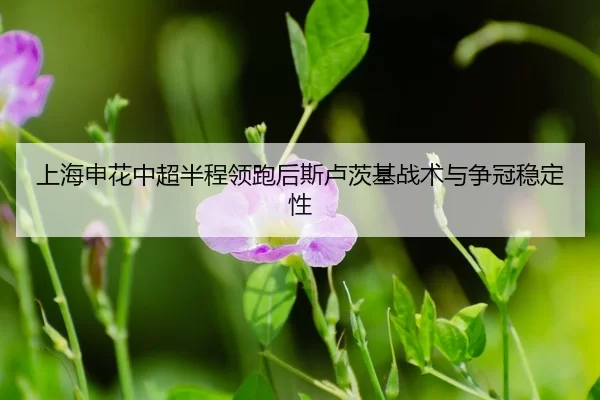 shang-hai-shen-hua-zhong-chao-ban-cheng-ling-pao-hou-si-lu-ci-ji-zhan-shu-yu-zheng-guan-wen-ding-xing-3-331.jpg