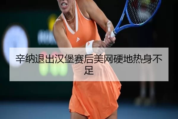 辛纳退出汉堡赛后美网硬地热身不足